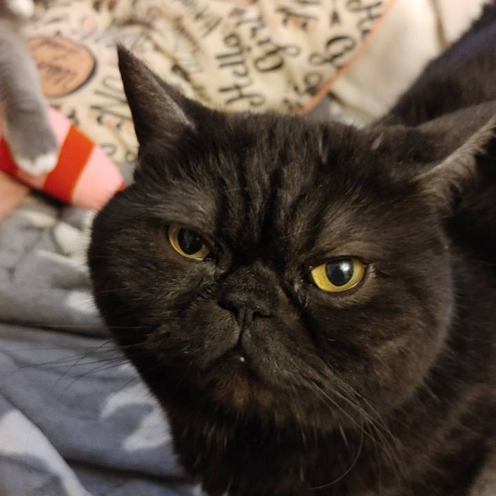 8930fd02 342d 4d89 a9ad d8ed518a0426 1615690577851