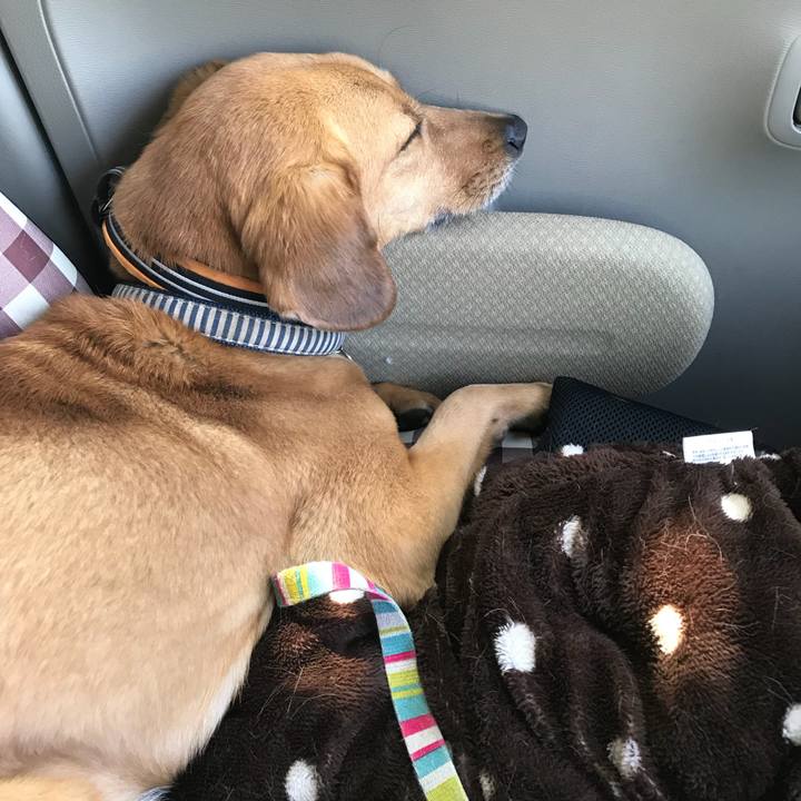 8931224f ef88 4e30 8c89 840c9d588d7d 1527110378651