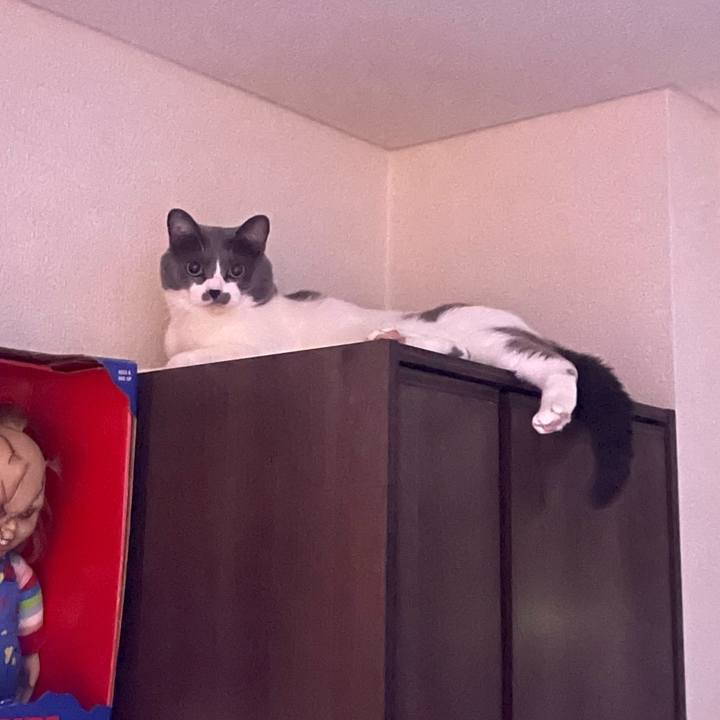 89313f91 046a 4dcc 9c93 5c1a6ea72dd9 1665590009676