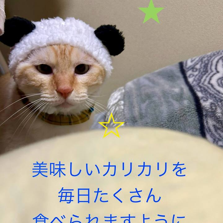 893148ff e76f 4e62 80d4 00f5079b96f6 1751882895204