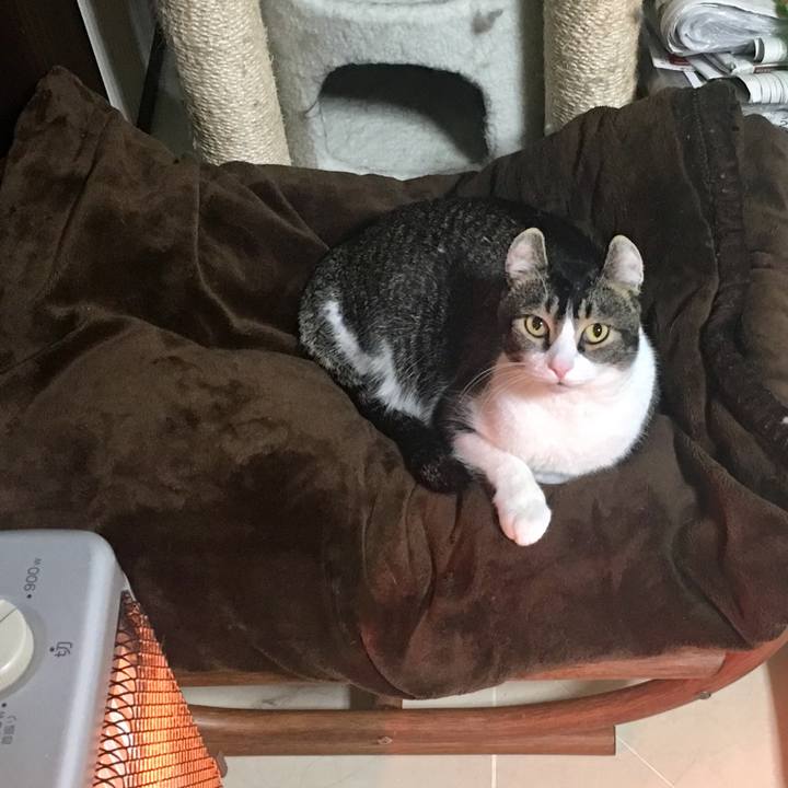 89316228 5d2b 4f15 8294 eebce1d00349 1514505124631