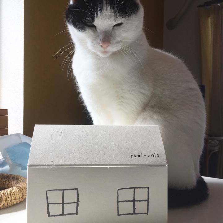 893195ed ad07 4d2b 8545 4902ed55413a 1585118097282