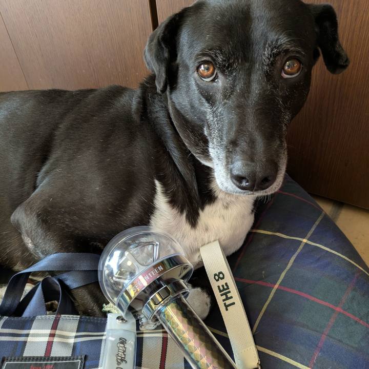 8931973b eedf 4073 808c cdac43b85254 1733376383766