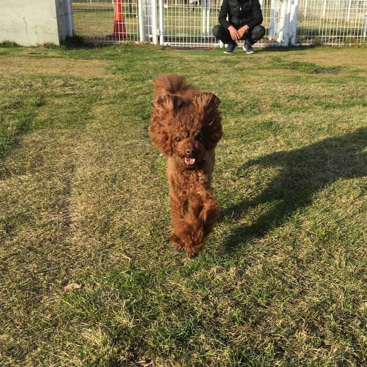 8931a6b2 4747 4802 93a7 1a176af7d71f 1511753527162