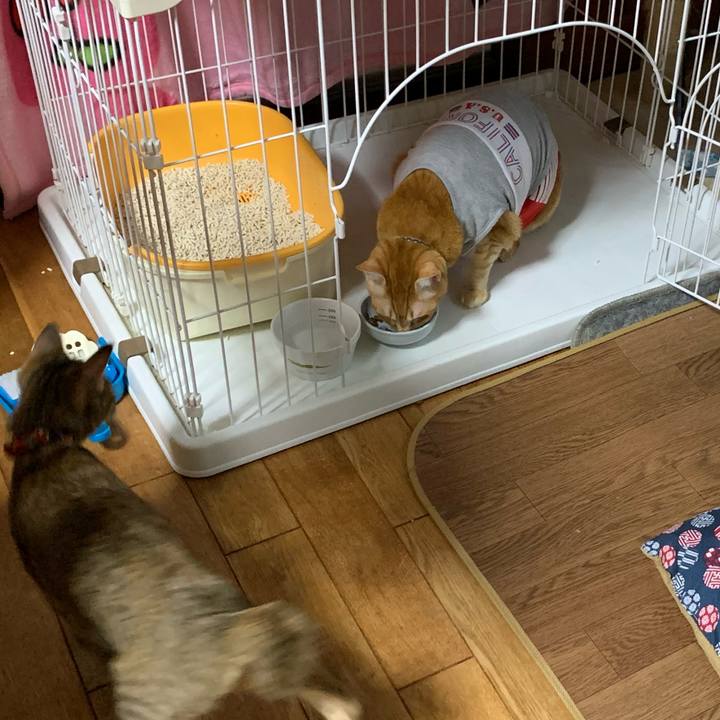 8931aece 49ac 4c75 a1d8 37d8e0ca5c85 1600032211540