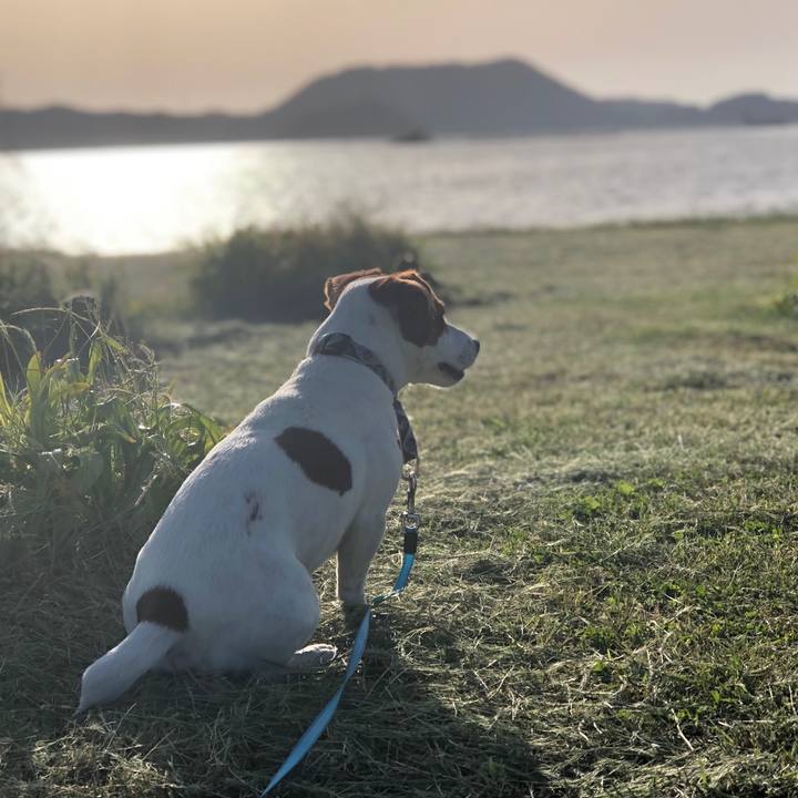 89320a11 d567 465d 86a5 0d2e4f2168c4 1559121870612