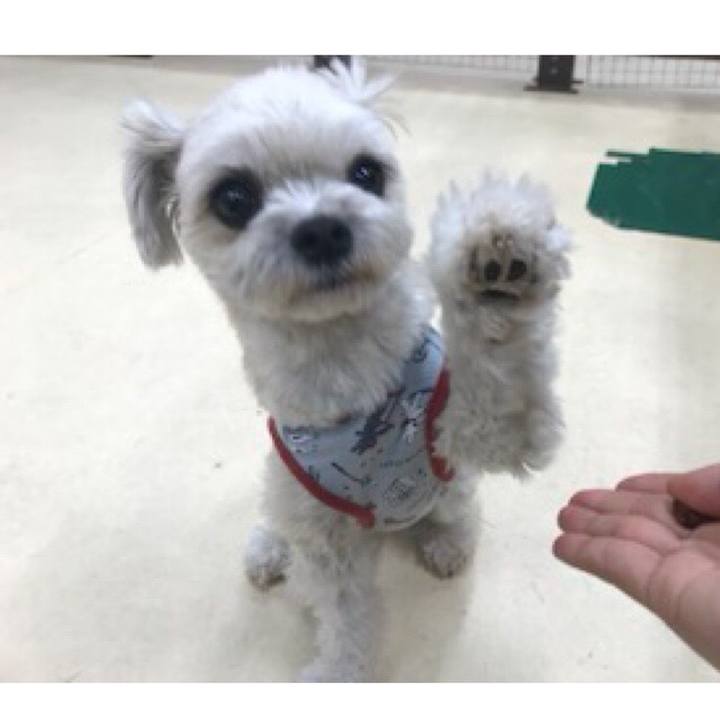 89324b3b 16c7 443d 84e4 78488af77a4a 1519037236207