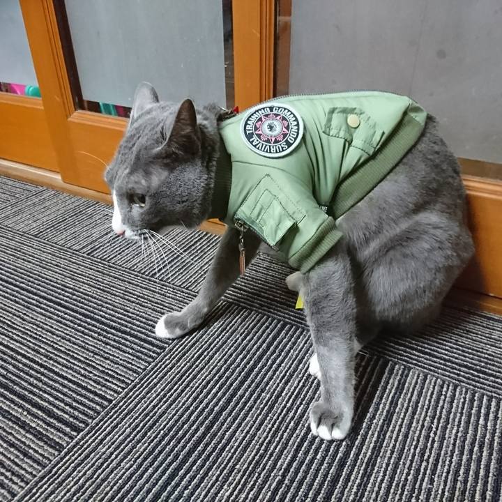 8932562f d136 4733 ba82 cbf1aa0ea9db 1514102691182