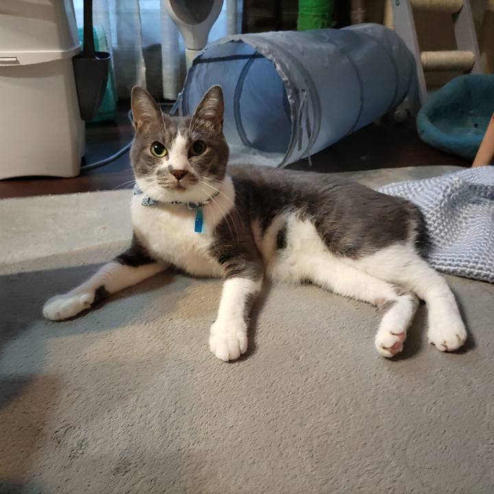 8932672a fe55 4742 b91e 69dcd9727722 1665698138004