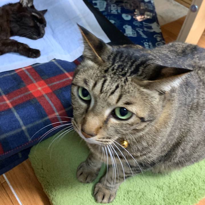 89331e2c 76d4 4931 90f0 c181810934dd 1545527727919