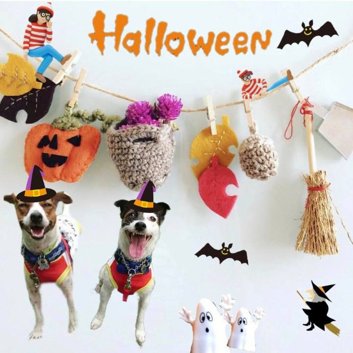 89333ca0 f852 425b aeb0 005a8538e130 1568991049168