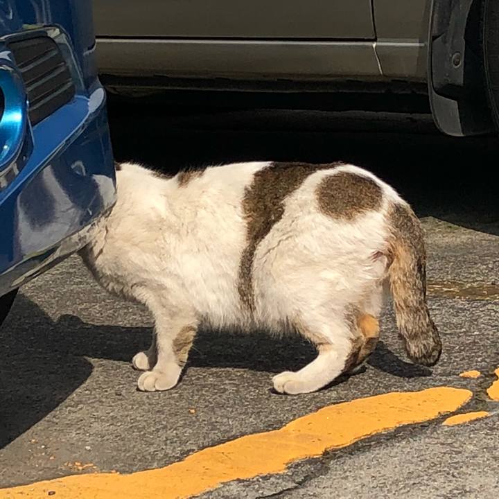 89335bb2 c544 486e 9c3c b8d235053f17 1520751458422