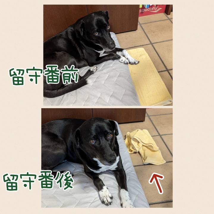 89336b99 d52d 4446 b117 4b5feeec6415 1660562499725