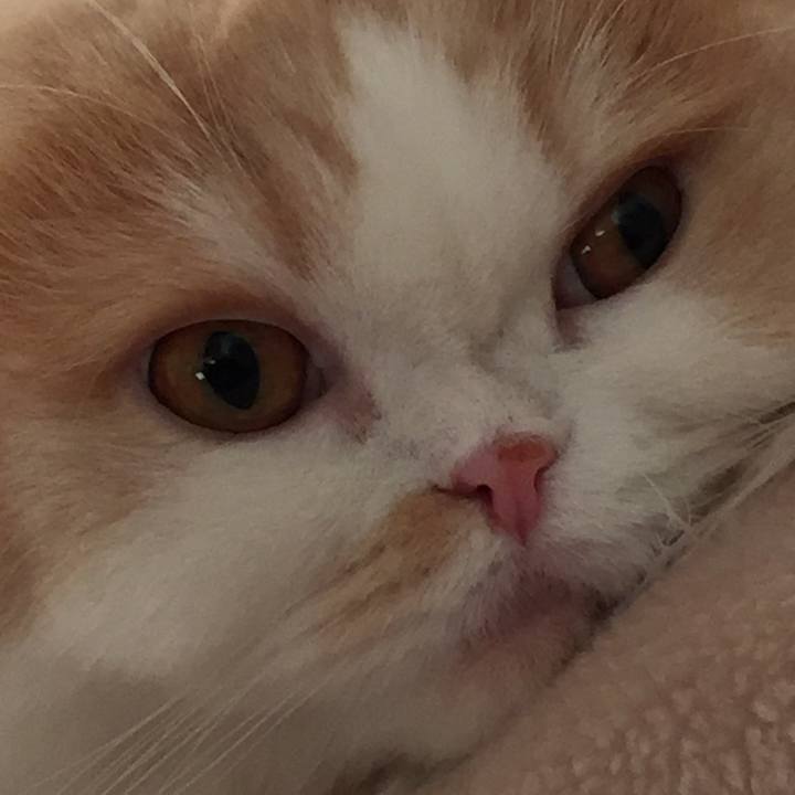 89337ab9 7e54 4ad8 a4db cacdd8f4c92f 1511354981715