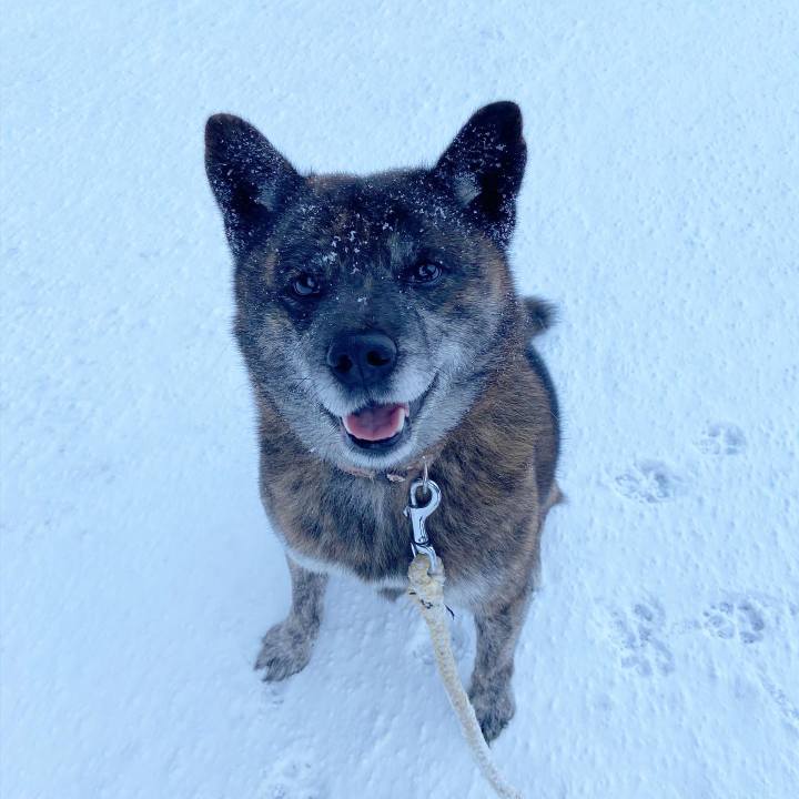 89339c62 25cf 4d3f aad5 c4271c3ebf3b 1609370931210