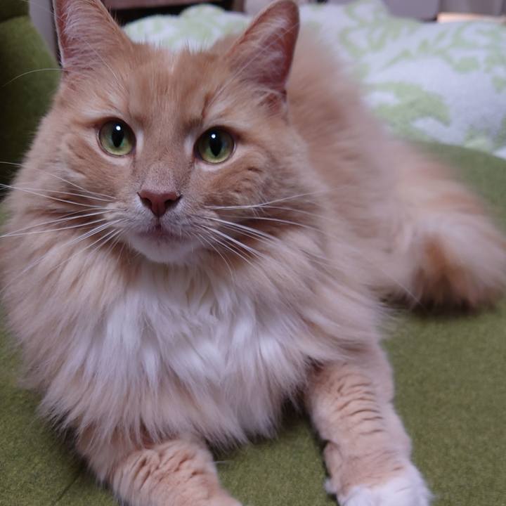 8933a026 602c 4fa0 807e e1513a6d0648 1610858055541