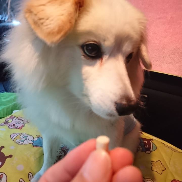 89340bc7 3a54 4557 87a5 448a5eeb9f0c 1541542122325