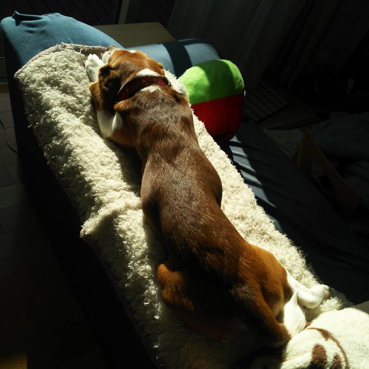 89344ef4 add7 4f31 b011 196aa193991d 1610595500301