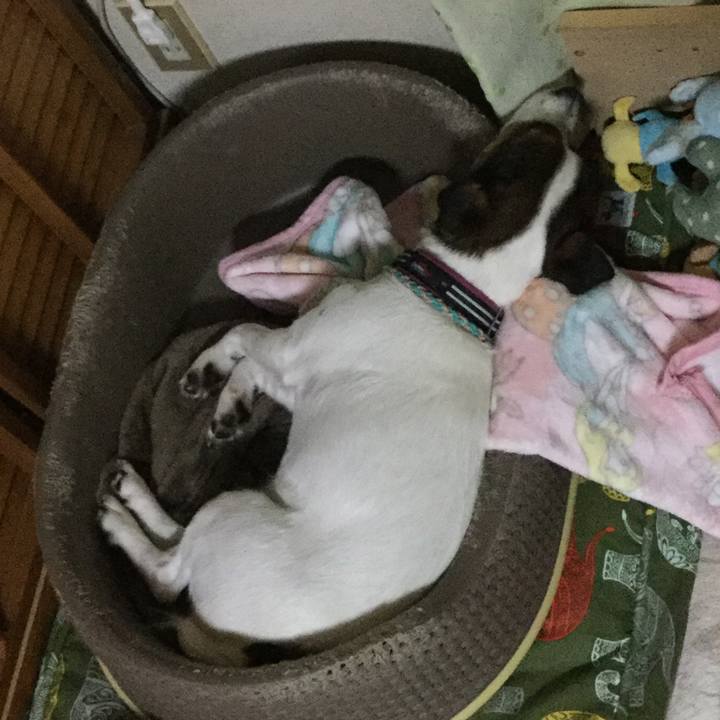 89345c8a c394 4fd5 9908 cb6131f30267 1507898090376