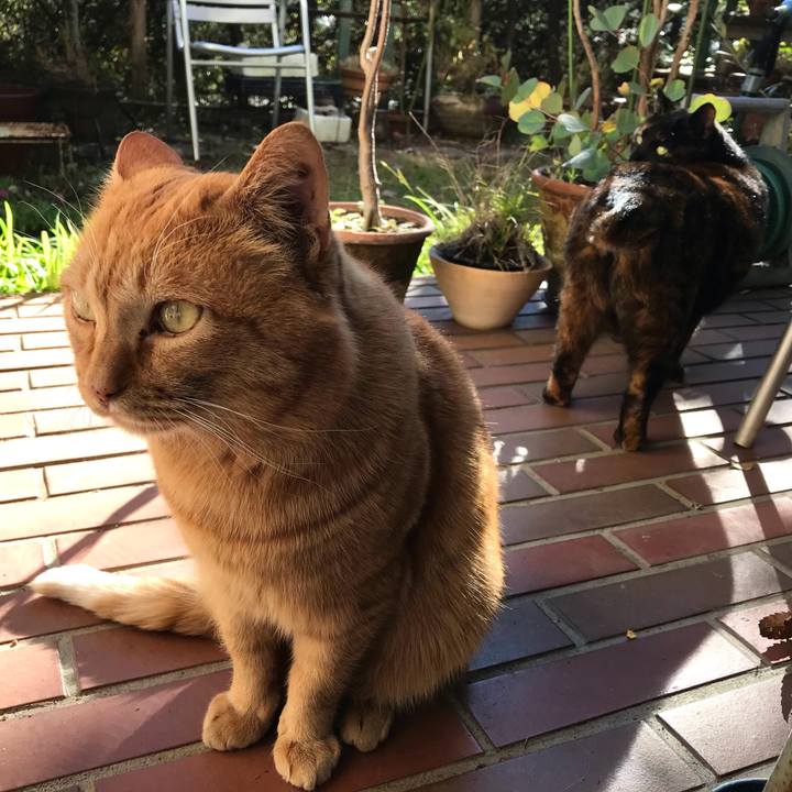 89348aa5 3885 4a41 b2be 85777db9d9f1 1609398085148