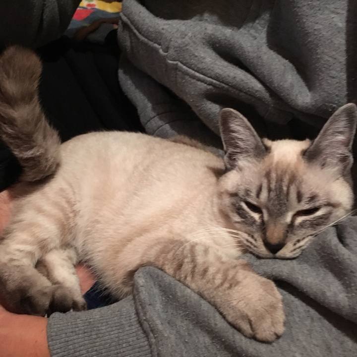 89348bfd 5a04 484a 8d3f 230f3c0e6e1e 1547557293038