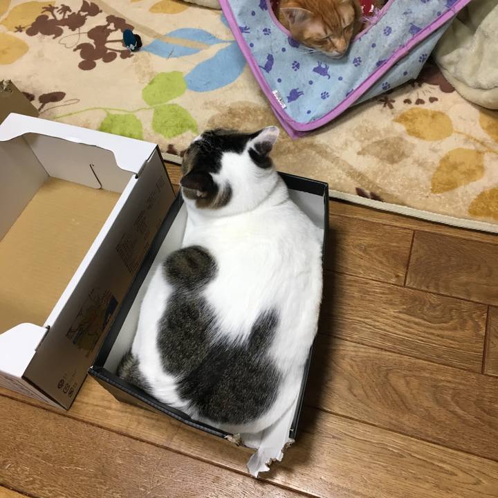 89349674 6a3a 4a7d 8351 e12751d236ec 1513079089117