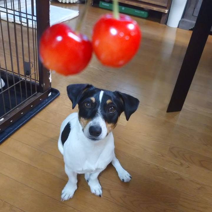 8934a530 a39f 463a 9c69 4e5382038e59 1561550080273