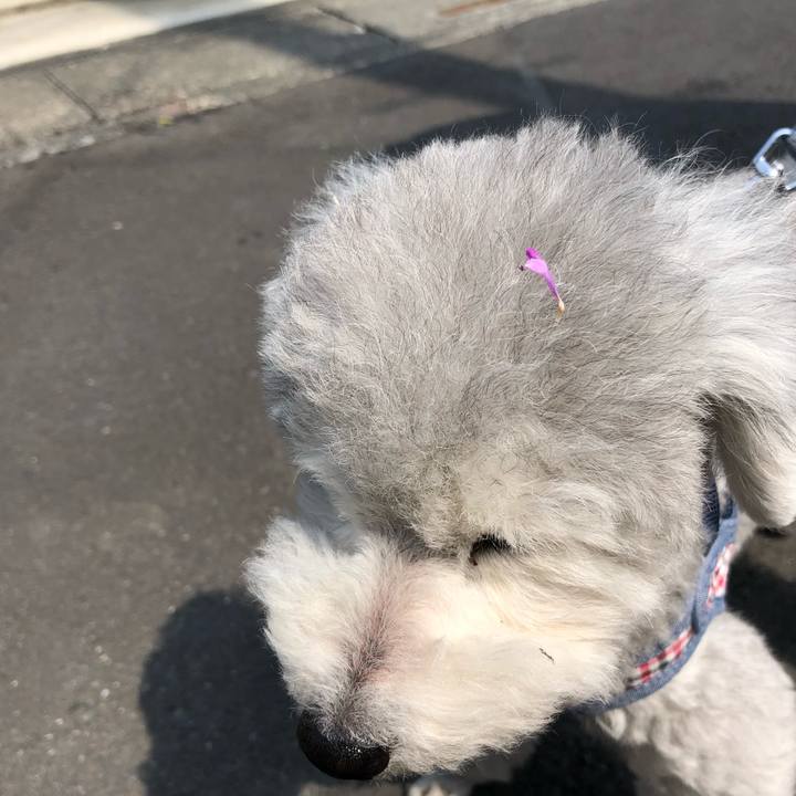 8934b386 1d14 4436 80bb 9e1a67a4b23d 1554678603602