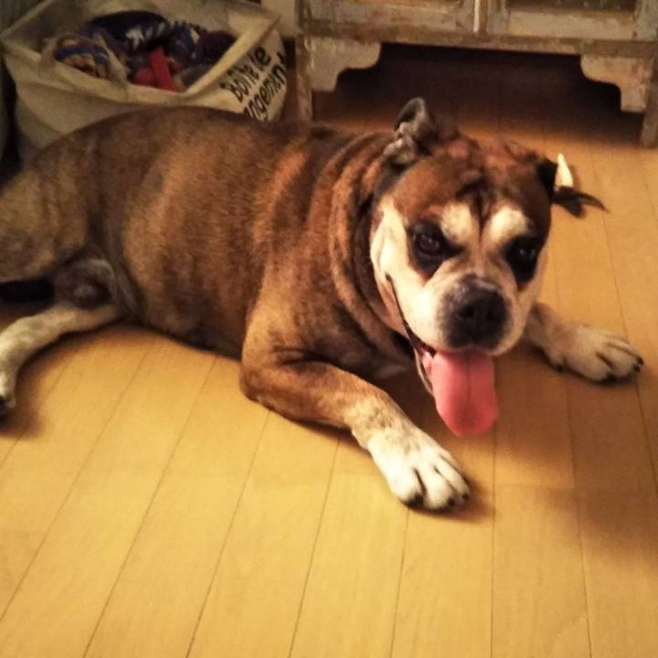 8934e24e 5e4c 4b4b 87fd d3f434a0e3fd 1568209017587