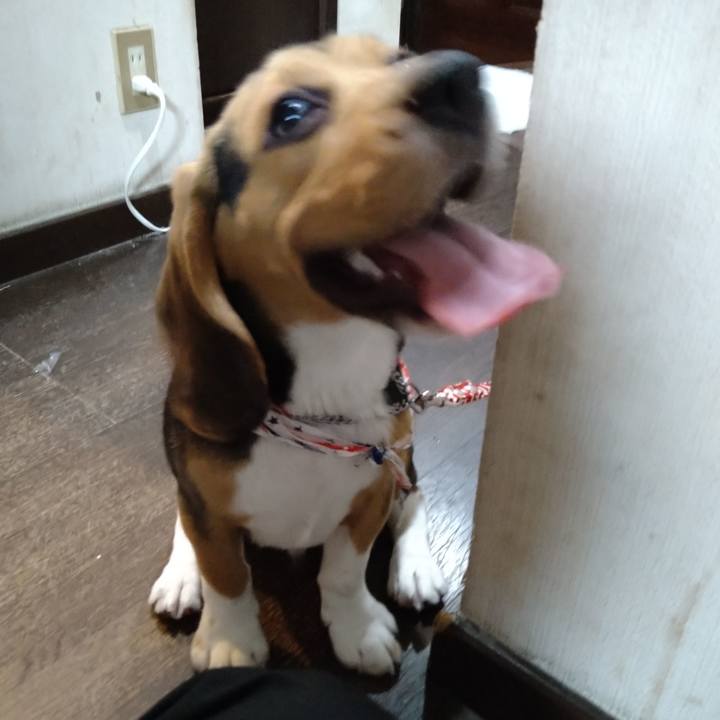 89351468 340c 40de 991d 18bf810dfa6b 1662118441161