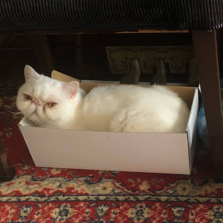 89353165 3d2c 4303 a87d c2c2301b3f53 1652575202395