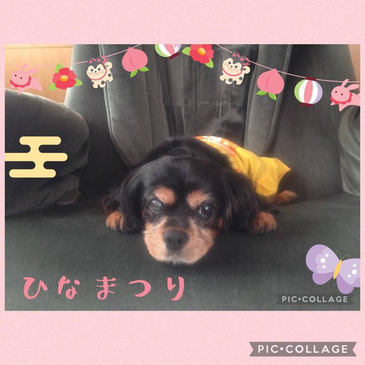 89354ece 908f 4e1c a2a9 5259a7d59e8c 1646286726520