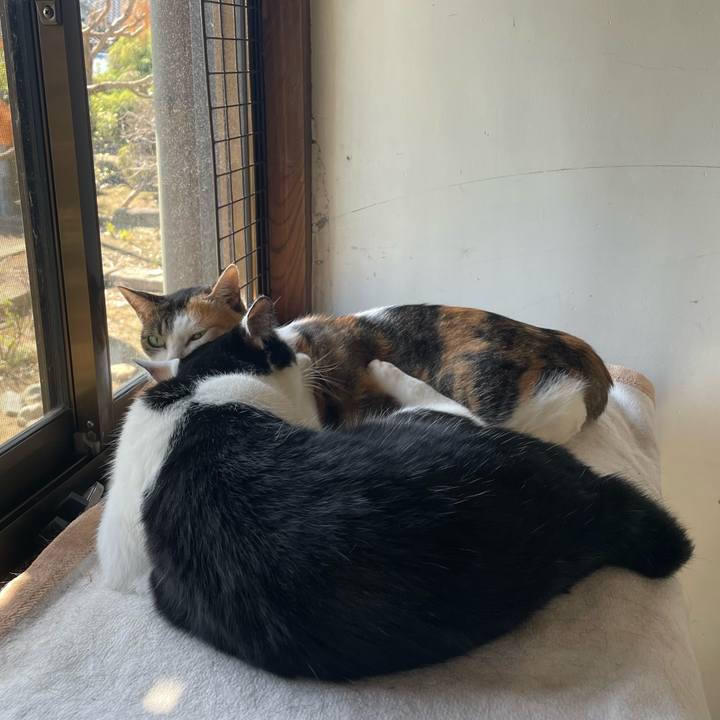 89356392 ed6c 468b 9e7e bdbc5a920af1 1729424608862