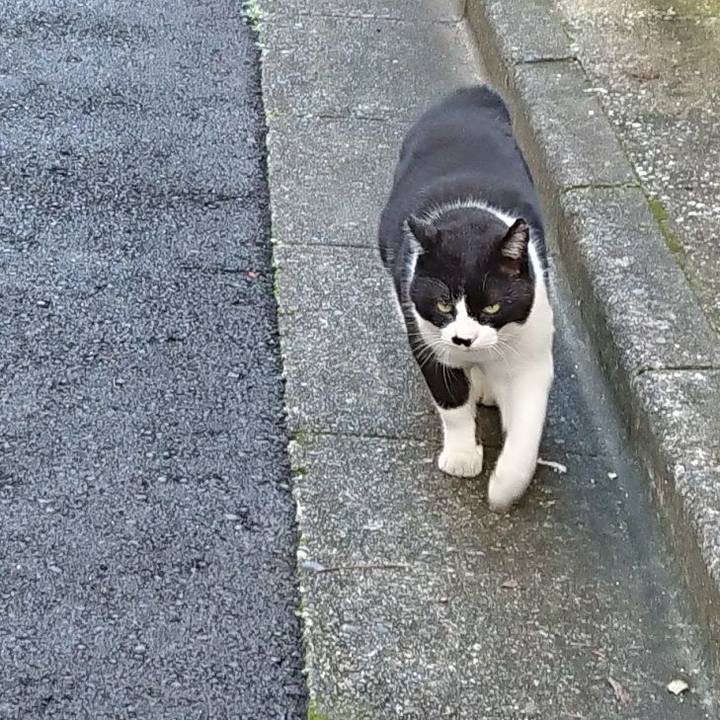 8935b83b 2d90 4c45 bd59 d79113679d24 1626478895133