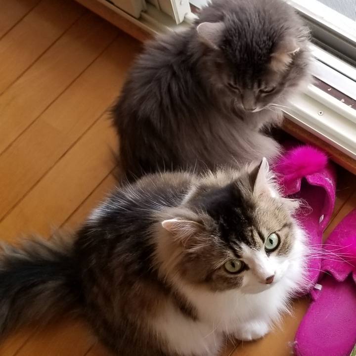 8935ea30 2437 4b45 8a8f c7e693a82ec7 1589684125358