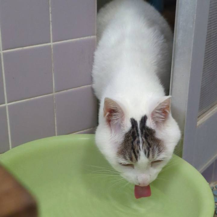 8935f604 0773 42c2 91cf 236f04c2e147 1747905862182