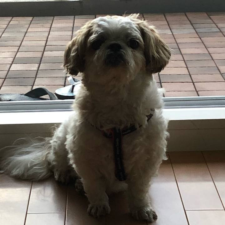 8935ff58 b59e 4224 a767 0963ad397d93 1590703286766