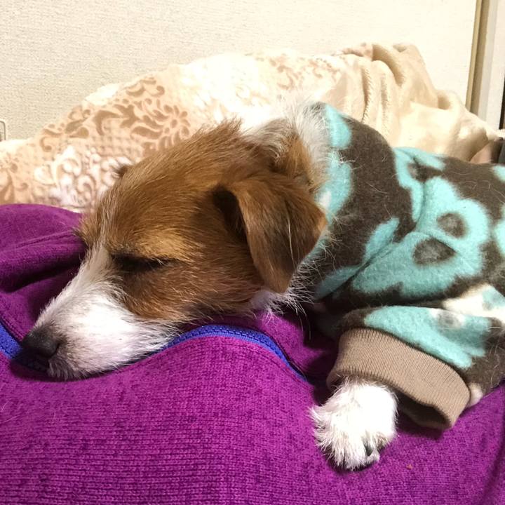 89360271 4e90 4646 86f1 b104f67d3992 1546165983580