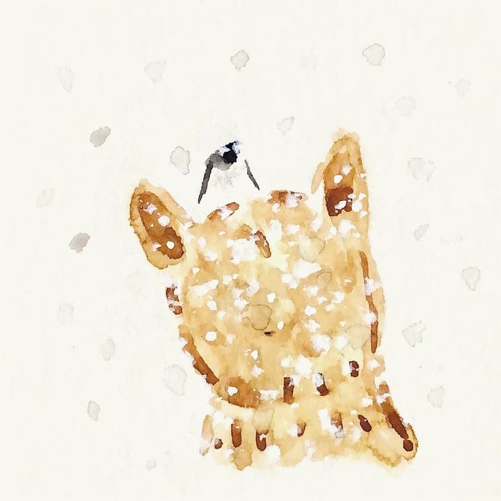 89360bc8 410e 4cdc 8d86 05f2150d6ade 1641978841051