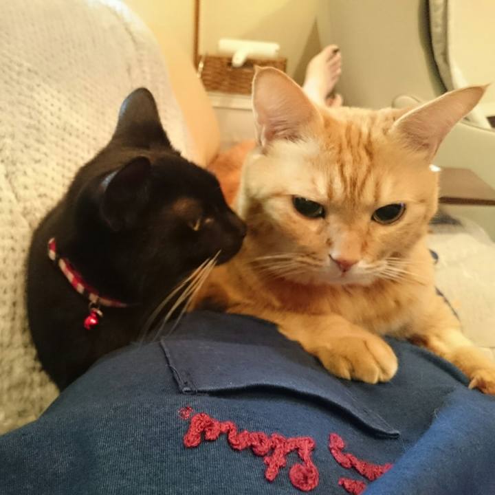 8936189c 3474 487a a954 878f84e4cfb6 1510276425215