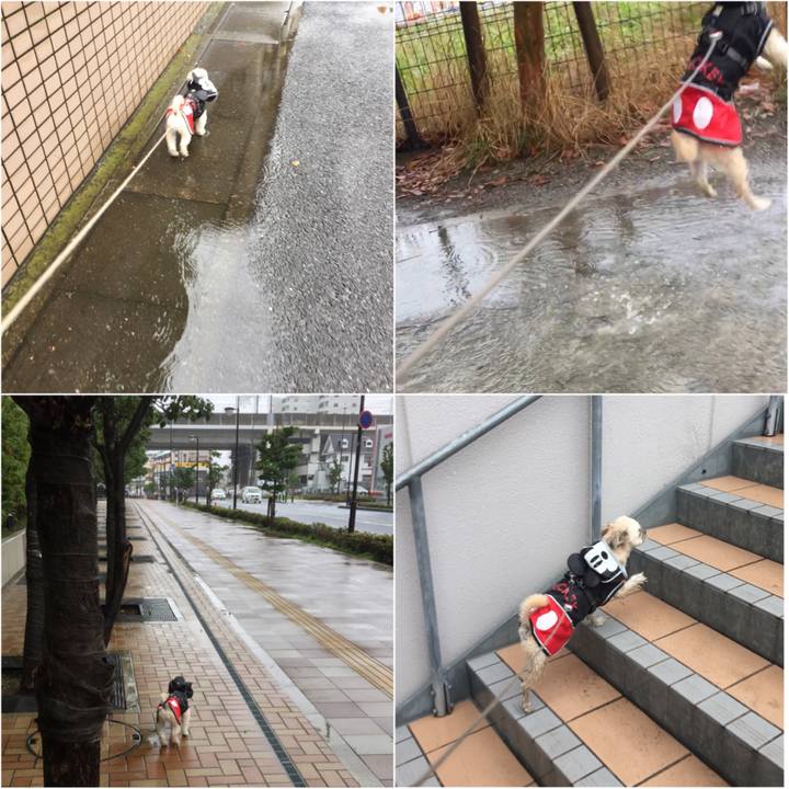 89363078 81ce 4756 ac5d 2f026478a2fc 1563081008664