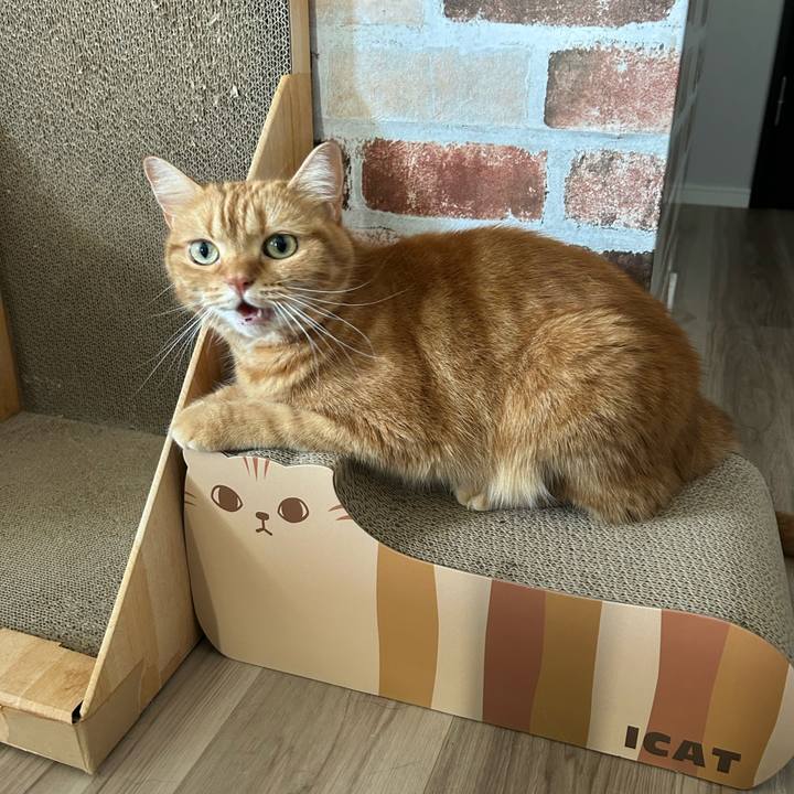 893633ad 2574 408d 8c9f e38500844588 1726616239972