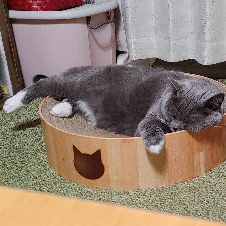 893636a7 9e06 41ed 9c0d fee672656b77 1669036677072