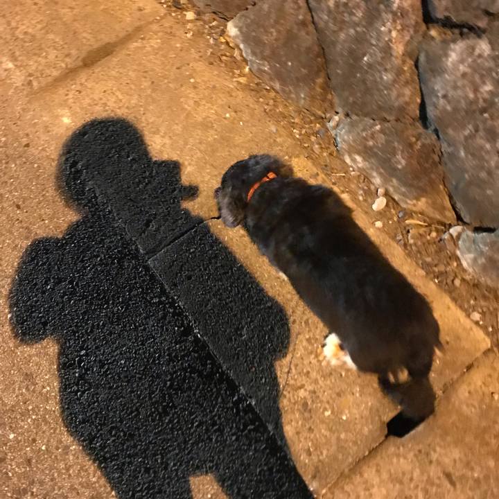 89365f23 0d68 4a7f 9124 4df997c81bda 1538782336213