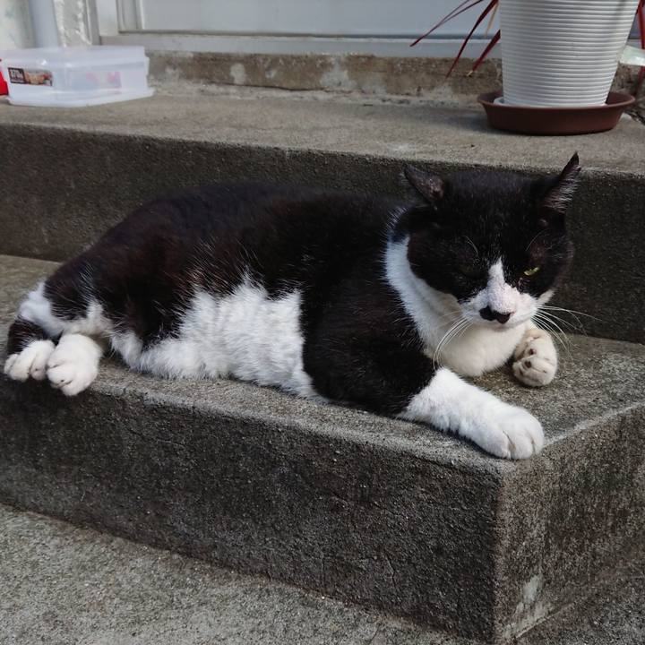 8936c3e1 1597 4453 8a8a eae582a60d8e 1658911563229