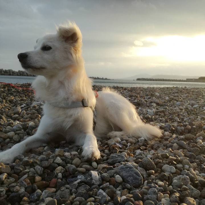 8936d415 3112 4860 92e2 aa8c9652265d 1508749216656