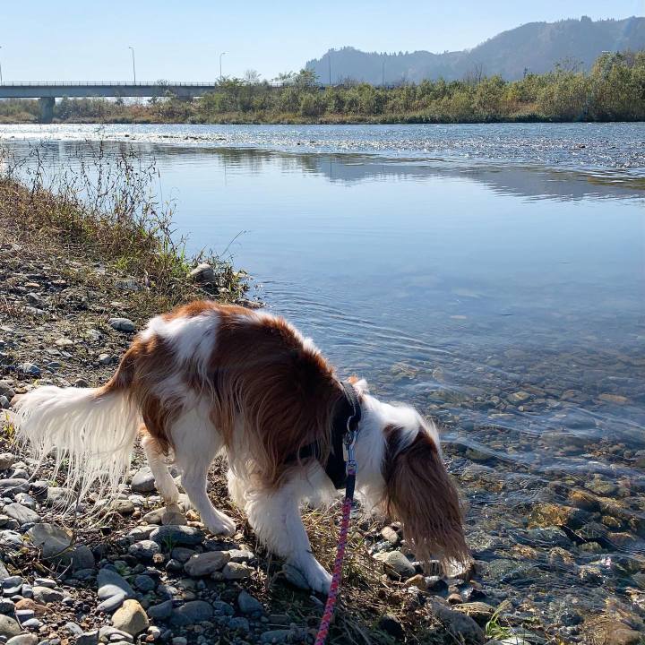 8936d77d fb14 4236 94b4 dde2928a6c57 1605584612951