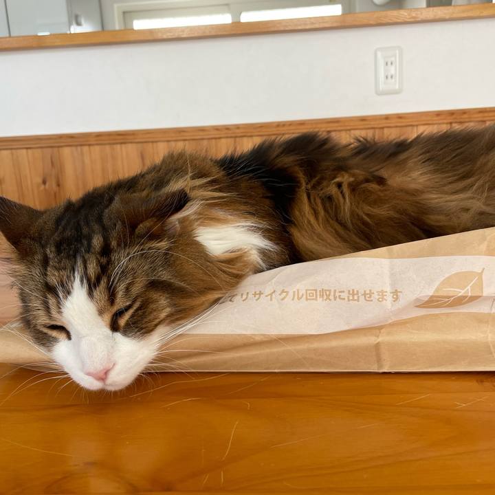 8936ef08 5b4b 4a63 9253 e33c5d88b7fd 1740878886017