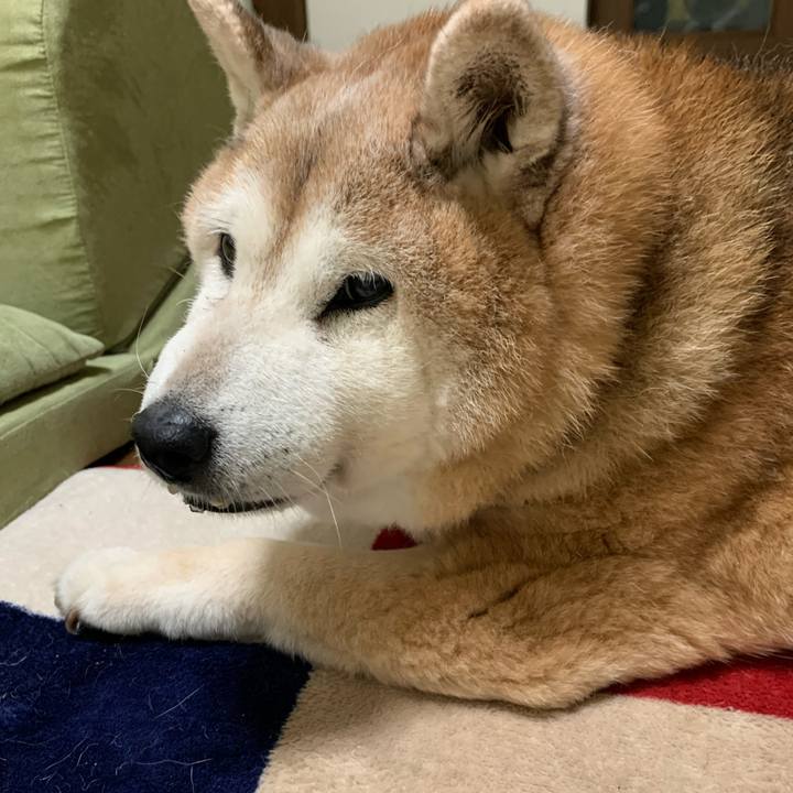 8936f1f6 6ce5 4953 a188 92b4b640eaf5 1651386407345