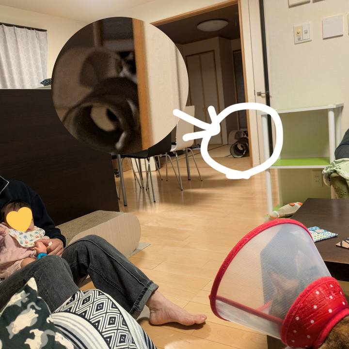 89372386 4883 416d 9790 bc54f5b057df 1764309764187